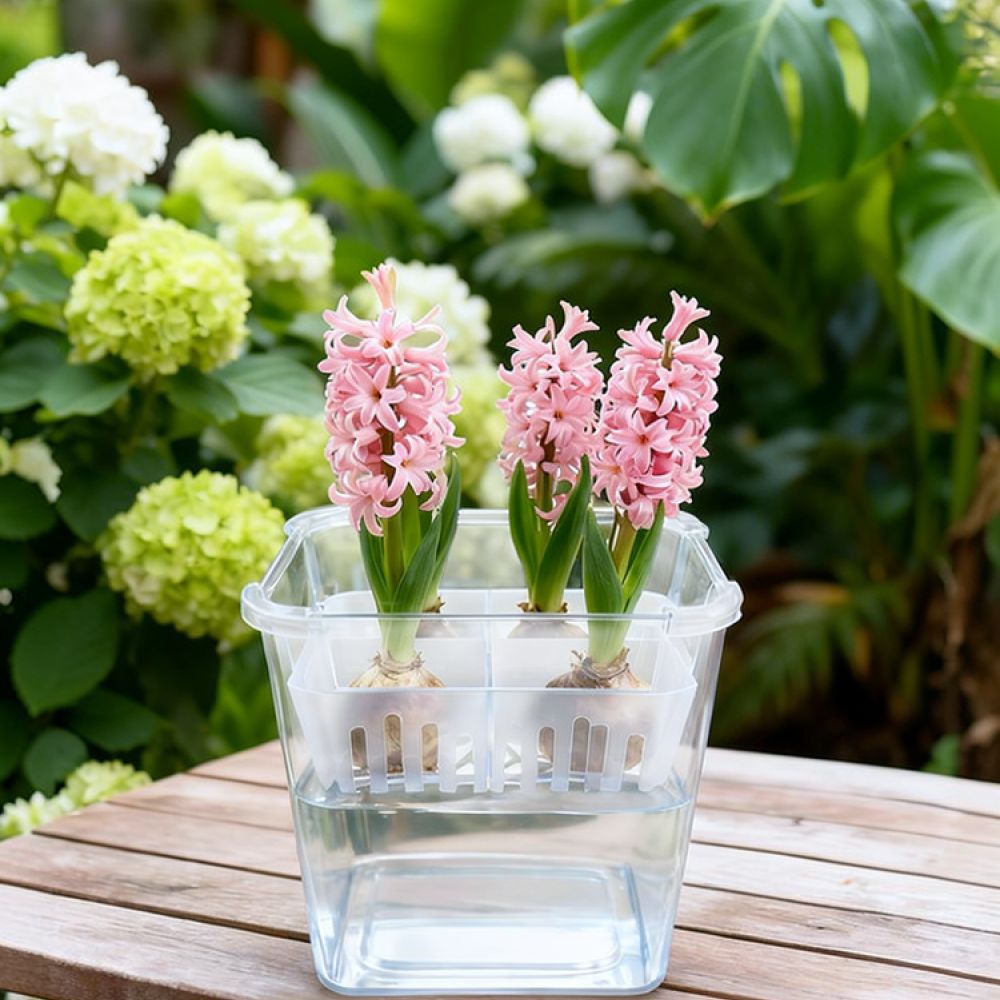 Hydroponic Vase For Tulip Lily - Vase Decor review and price