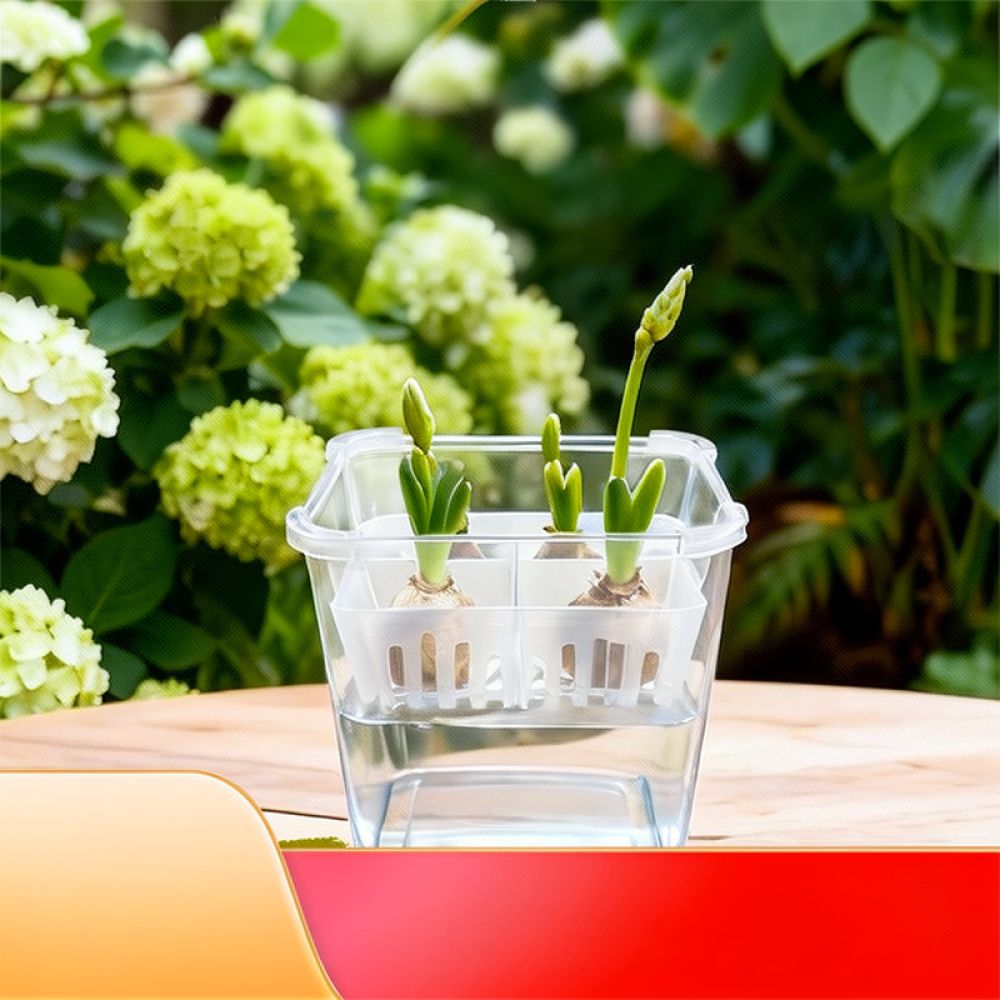 Hydroponic Vase For Tulip Lily - Vase Decor review and price