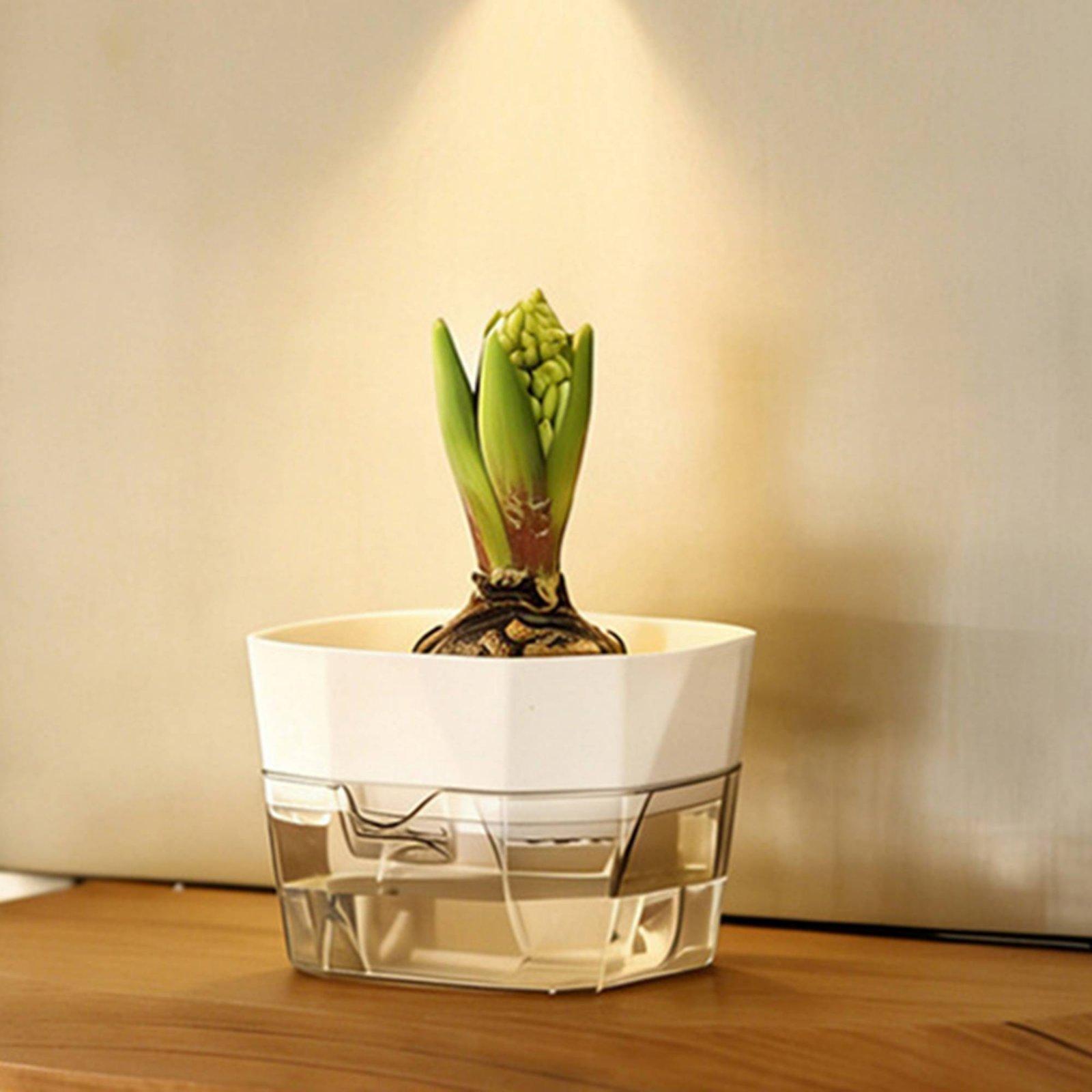 Hydroponic Vase Two Layer Self - Vase Decor review and price