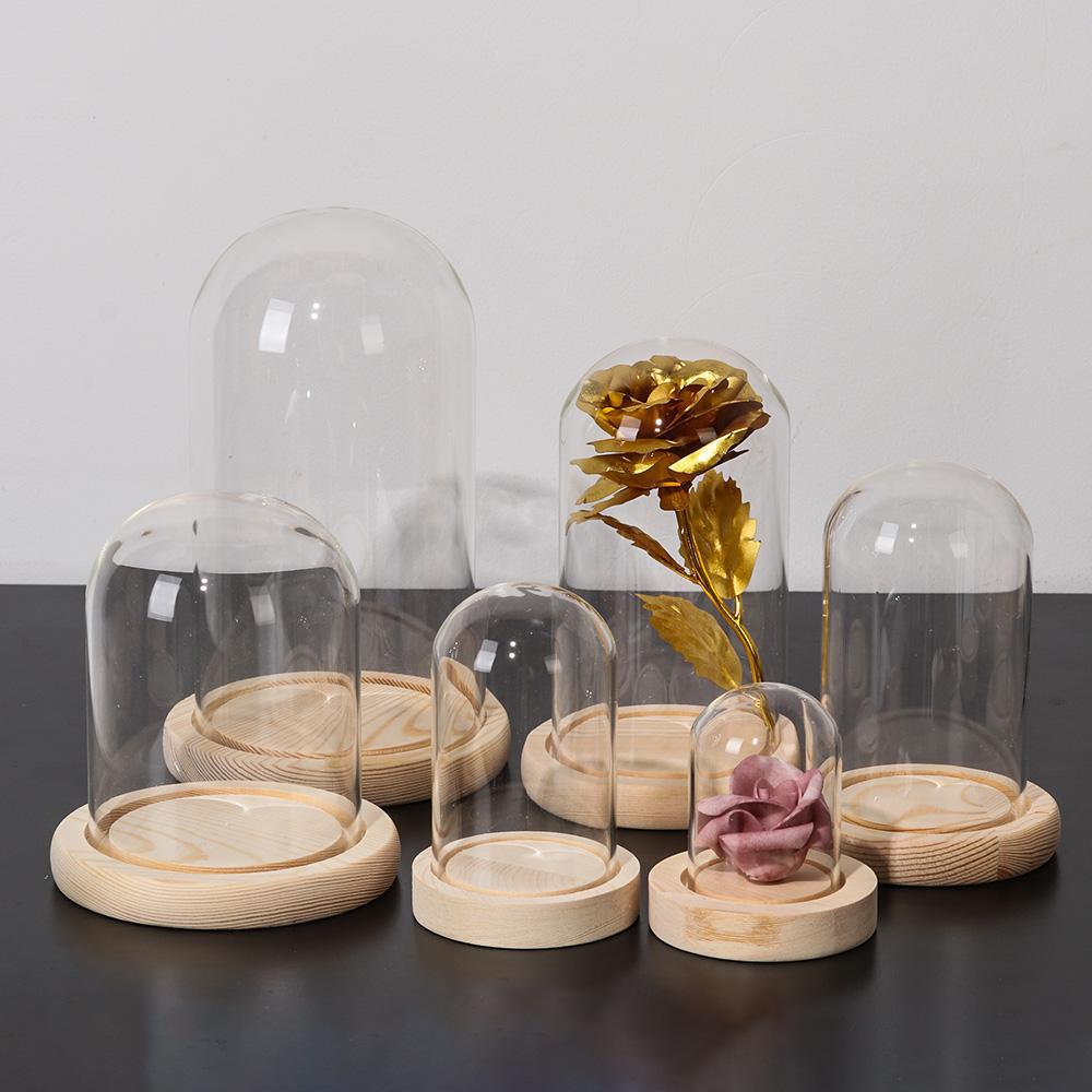 Fairy Lights Home Decor Terrar - Vase Decor review and price